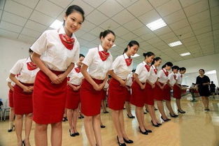 廣告設(shè)計(jì)中的服務(wù)禮儀規(guī)范 專業(yè)形象與客戶信任的基石